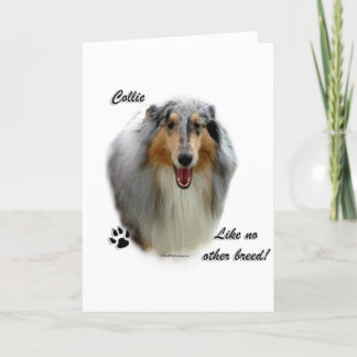 Collie Like No Other Breed Holiday Card
