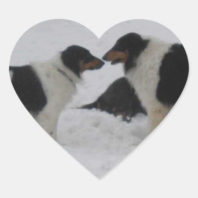 Collie Love Heart Sticker (Front)
