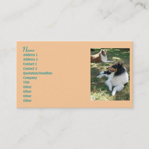 Customizable Collie Lovers Business Cards 2