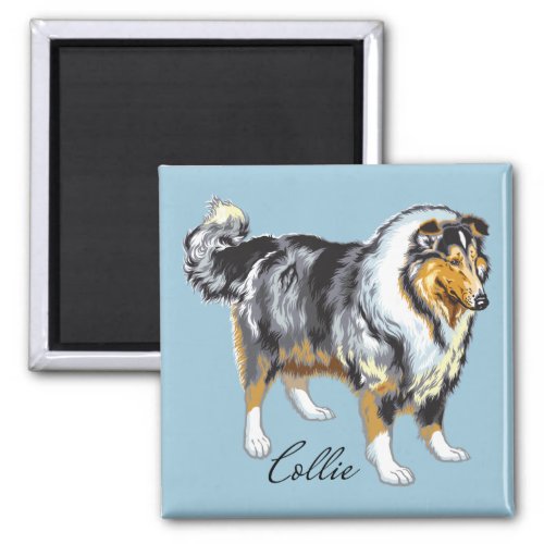 collie magnet