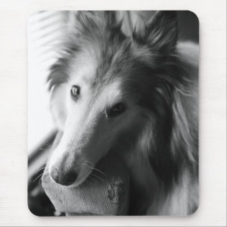 Collie Mouse Pad