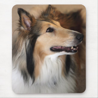 Collie Mouse Pad