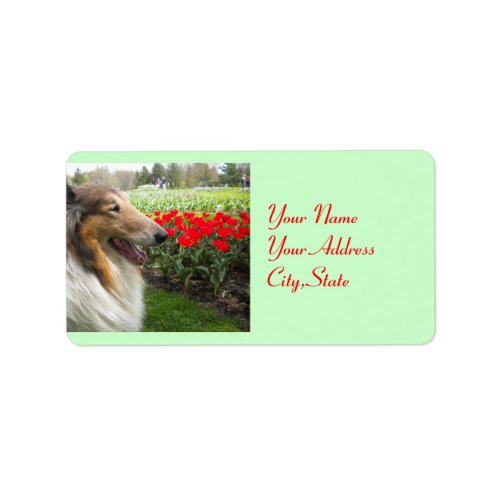 Collie N Tulips Labels