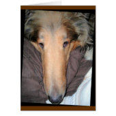 Collie "Nose" Love Card (Front)