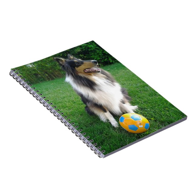 Collie Notebook (Right Side)