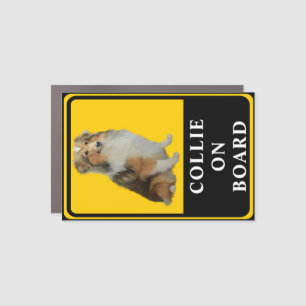 Collie on Board Car Magnet