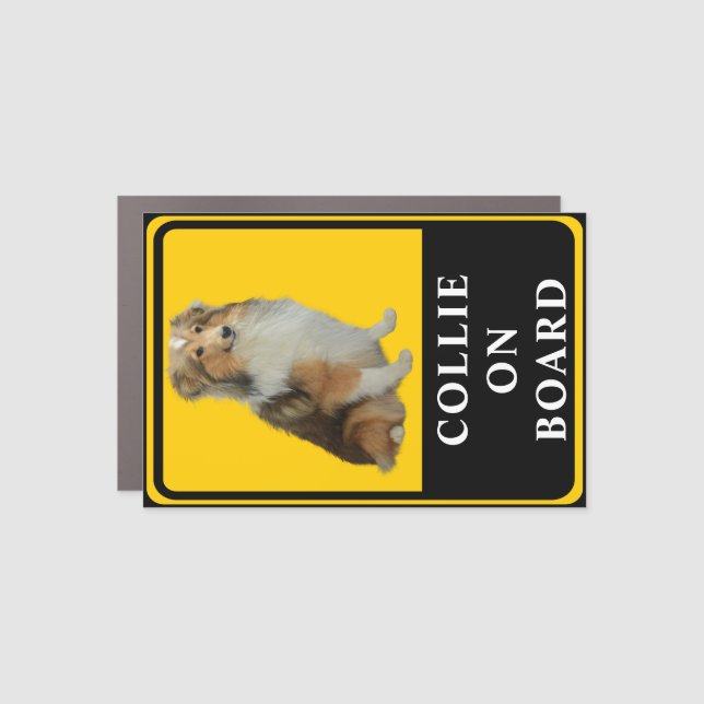 Collie on Board  Car Magnet (Front)