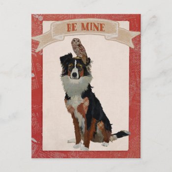 Collie & Owl Valentine's Postcard by Greyszoo at Zazzle