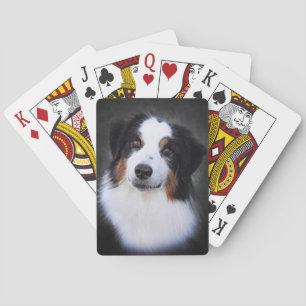 Collie Poker Cards