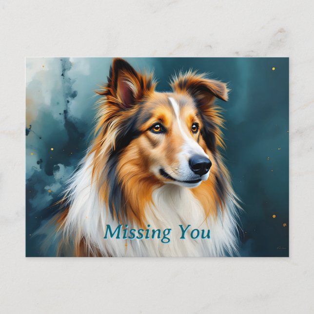 Collie Portrait Missing You Postcard (Front)