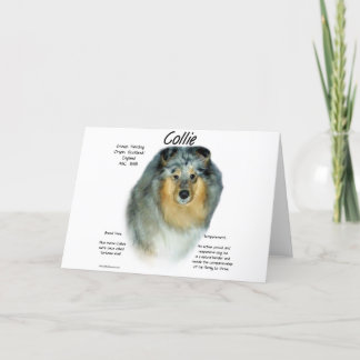 Collie (rough merle) History Design Holiday Card