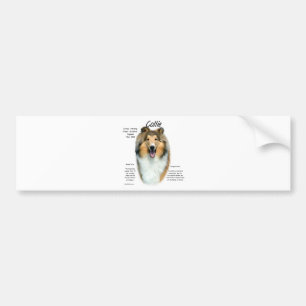 Collie (sable rough) History Design Bumper Sticker