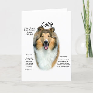 Collie (sable rough) History Design Holiday Card