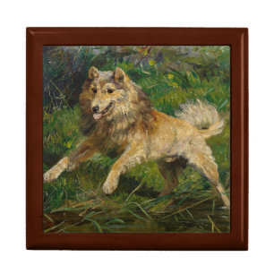 Collie Takes on a Frog Dog Hermine Biedermann Gift Box