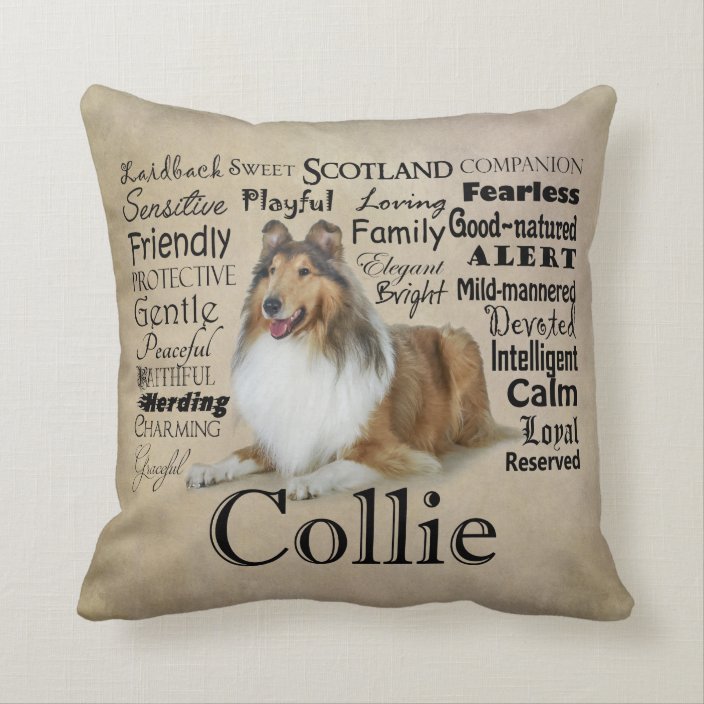 collie pillow