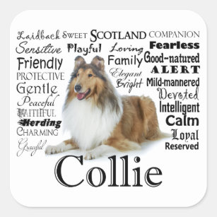 Collie Traits Stickers