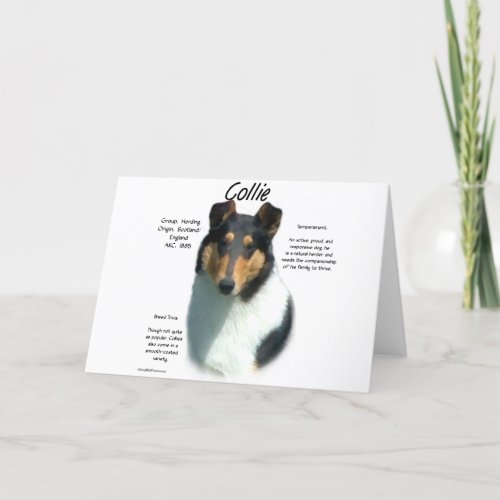 Collie tri smooth History Design Holiday Card