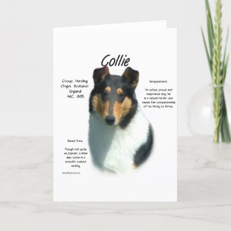 Collie (tri smooth) History Design Holiday Card