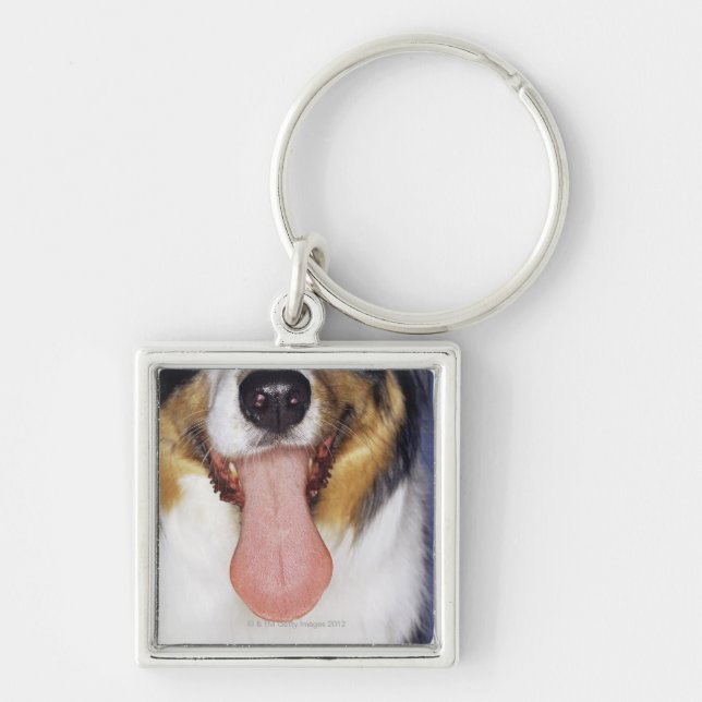 Collie wagging tongue keychain (Front)