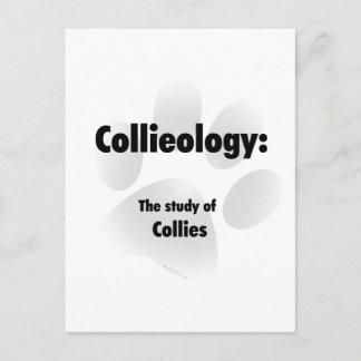 Collieology Postcard