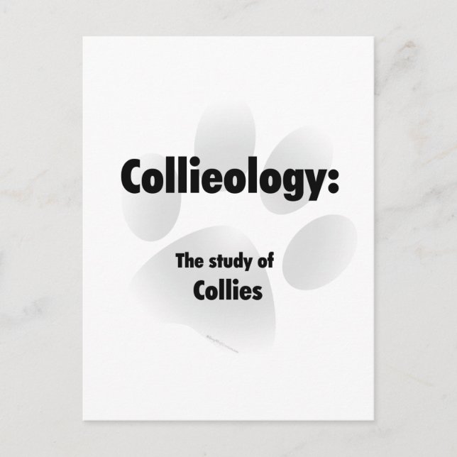 Collieology Postcard (Front)