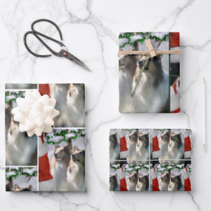 Collies and Santa Christmas Wrapping Paper Sheets