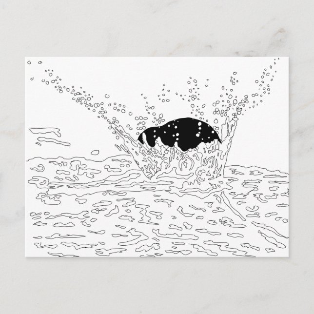 Collision, Splash Illustration Postcard (Front)