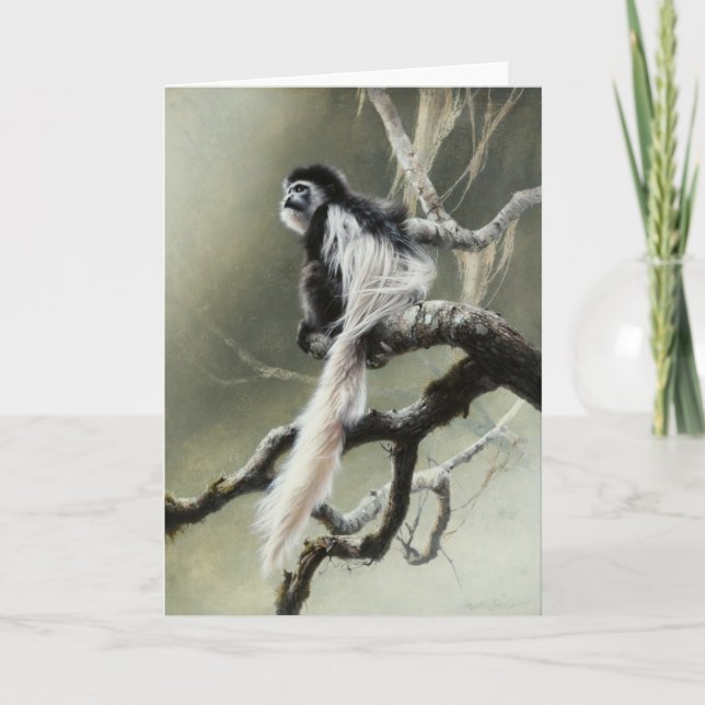 Colobus Blank Card by Andrew Denman (Front)