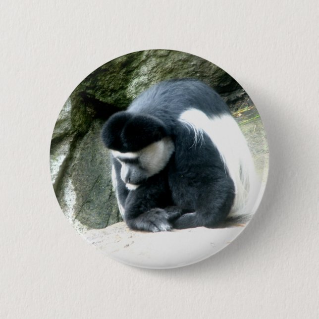 Colobus Button (Front)