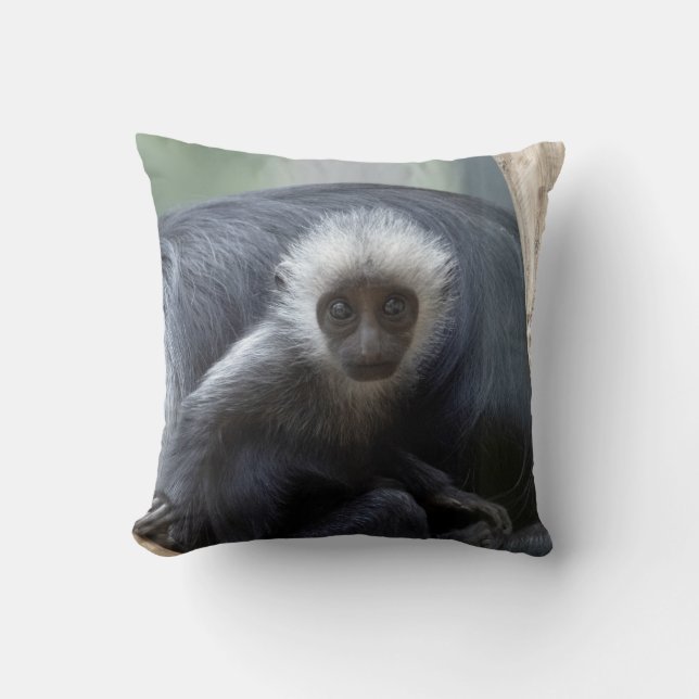 Colobus polykomos throw pillow (Front)