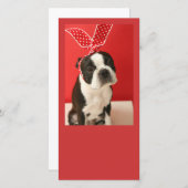 Cologalita Usamimi Photo cards (Front/Back)