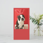 Cologalita Usamimi Photo cards (Standing Front)