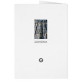 Cologne Cathedral (Back)