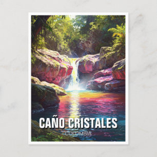 Colombia Cano Cristales Travel Postcard