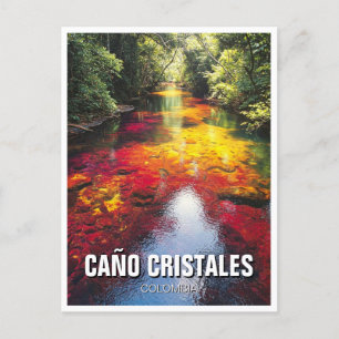 Colombia Cano Cristales Travel Postcard