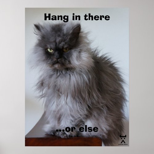 Colonel Meow Hang In There Poster