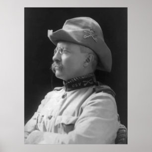 Colonel Roosevelt Poster
