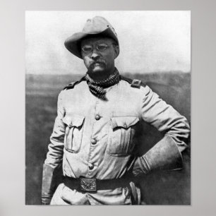 Colonel Theodore Roosevelt Poster
