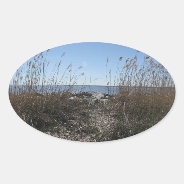 Colonial Beach 1 Oval Sticker (Front)