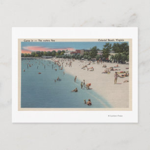 Colonial Beach, VA - Sunbathing & Swimming Scene Postcard