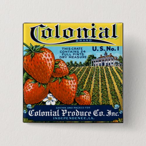 Colonial Strawberries Button