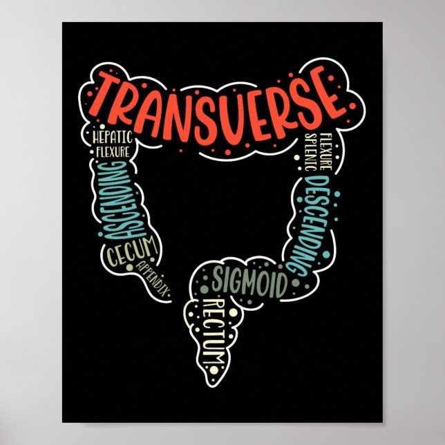 Colonoscopy Gi Funny Endoscopy Nurse Colon Anatomy Poster (Front)