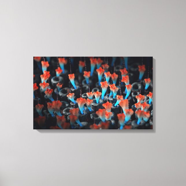 Colony Canvas Print (Front)