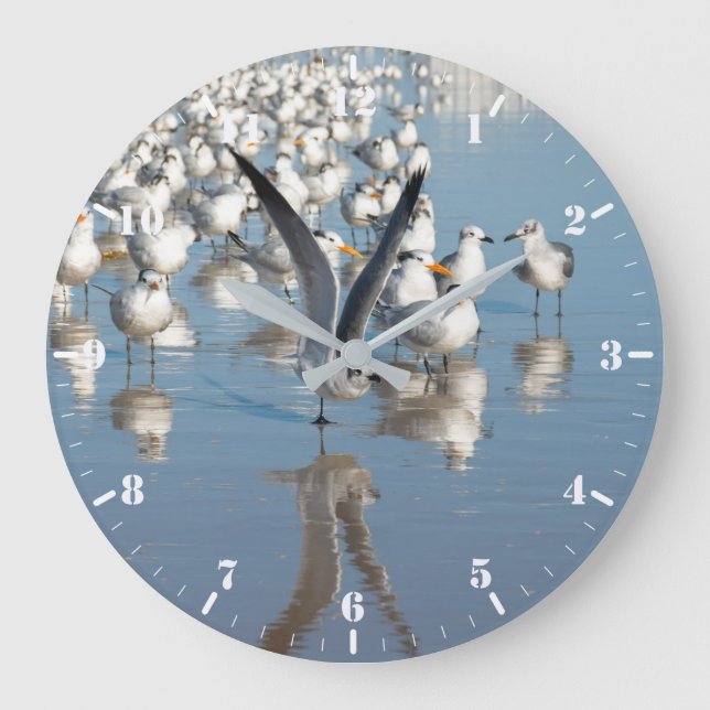 Colony of gulls on the beach large clock (Front)