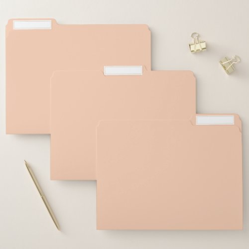 color apricot file folder