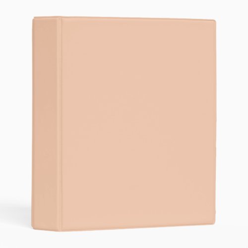 color apricot mini binder