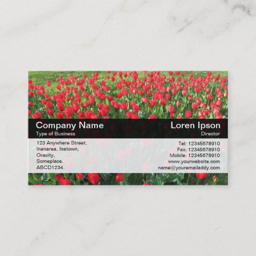 Color Band _ Black _ Bed of Red Tulips 01 Business Card