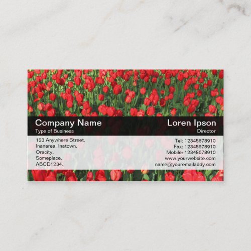 Color Band _ Black _ Bed of Red Tulips 02 Business Card