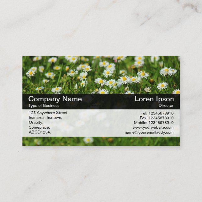 Color Band - Black - Daisy Meadow Business Card (Front)