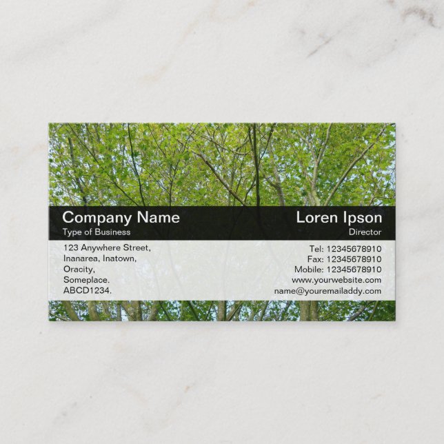 Color Band - Black - Japanese Maple Business Card (Front)